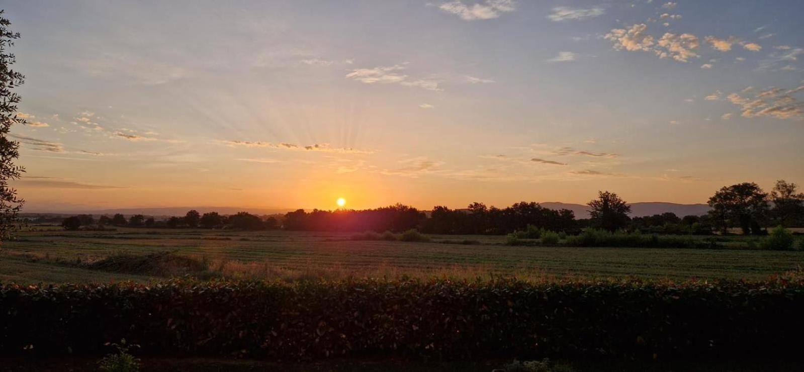 Agriturismo Il Canneto Casole dʼElsa Zewnętrze zdjęcie