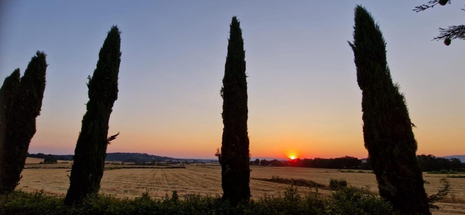Agriturismo Il Canneto Casole dʼElsa Zewnętrze zdjęcie